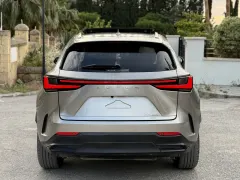2024 Lexus NX NX 300h Kıbrıs | KKTC İkinci El Satılık Araba - Thumbnail 5