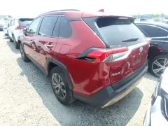 2024 Toyota RAV4 2.5 Hybrid Kıbrıs | KKTC İkinci El Satılık Araba - Thumbnail 2