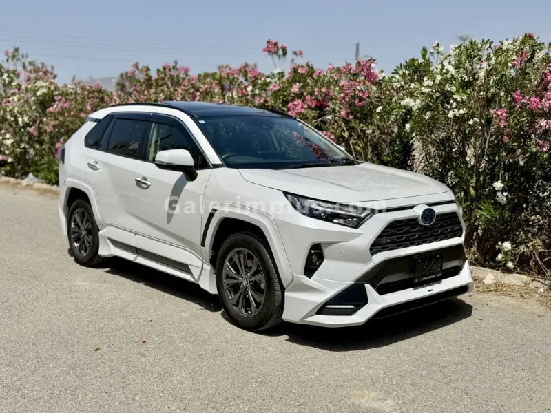 2023 Toyota RAV4