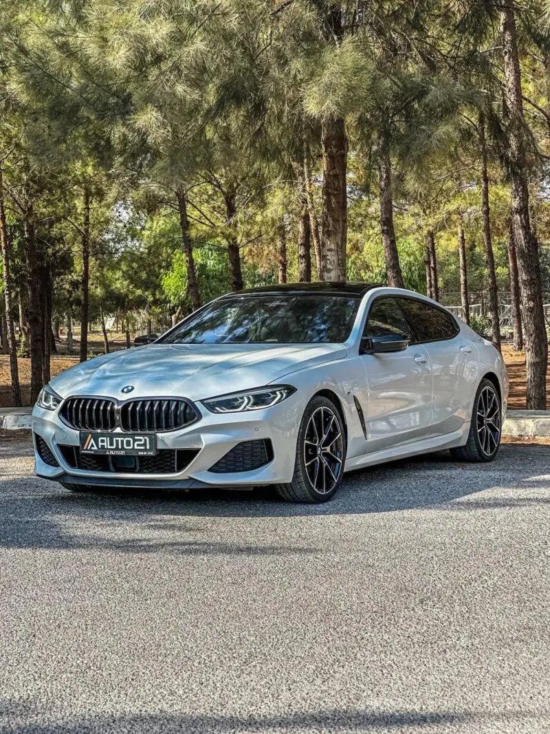2022 BMW 8 Serisi