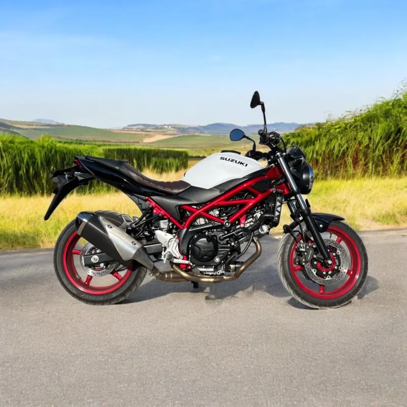 2023 Suzuki Diğer Diğer