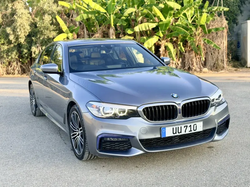 2019 BMW 5 Serisi