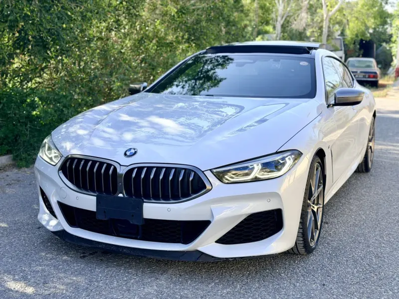 2022 BMW 8 Serisi