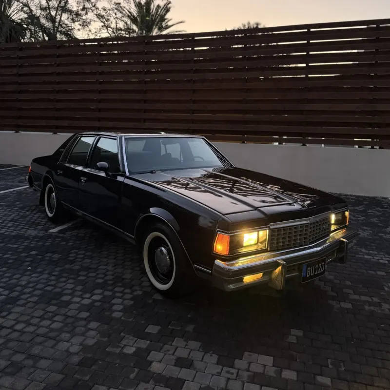 1974 Chevrolet Caprice Caprice