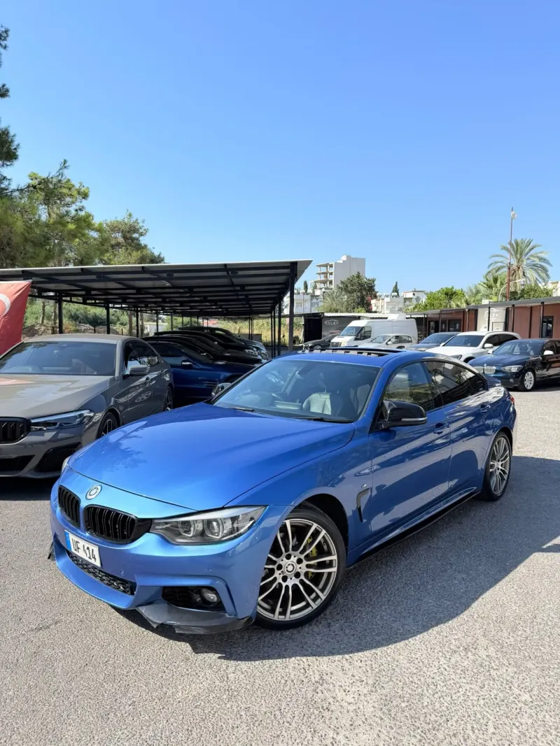 2018 BMW 4 Serisi