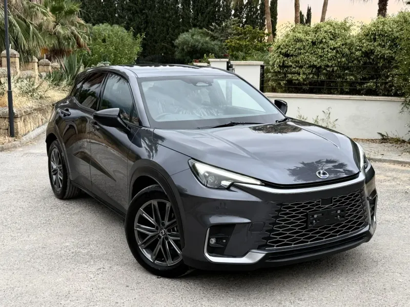 2025 Lexus RX L